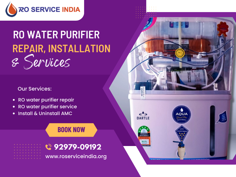 Ro Service India